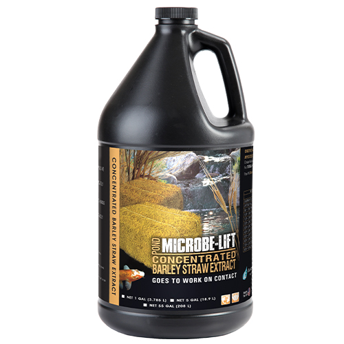 Microbe-Lift Barley Straw Extract - 1 Gallon