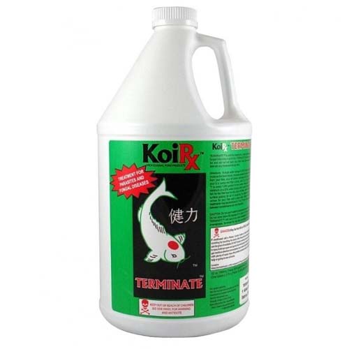 Aqua Meds Koi Terminate - 1 Gallon (128 oz.)
