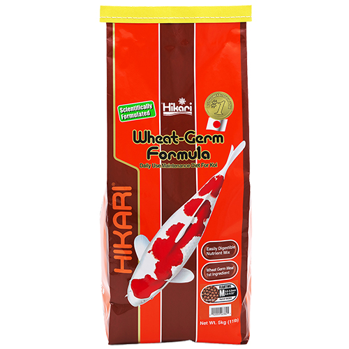 Hikari Wheat Germ Koi Fish Food - 11 lbs. (Medium Pellets)